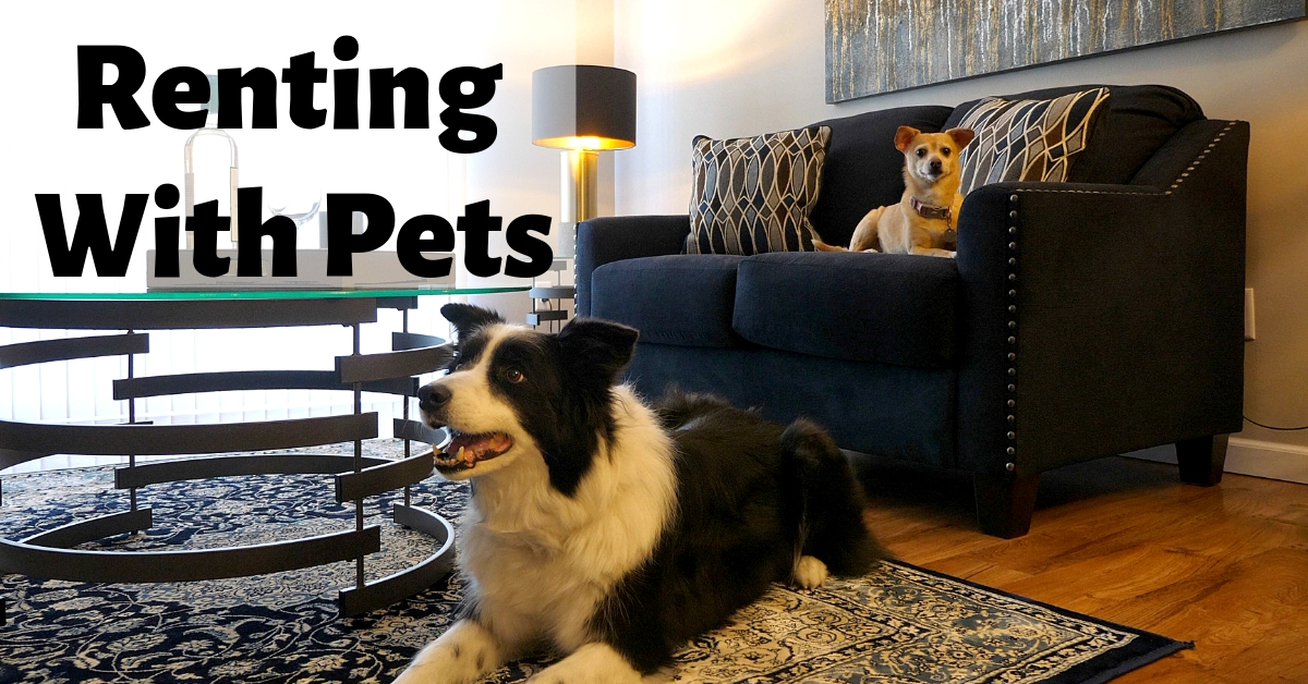 Renting with Pets
