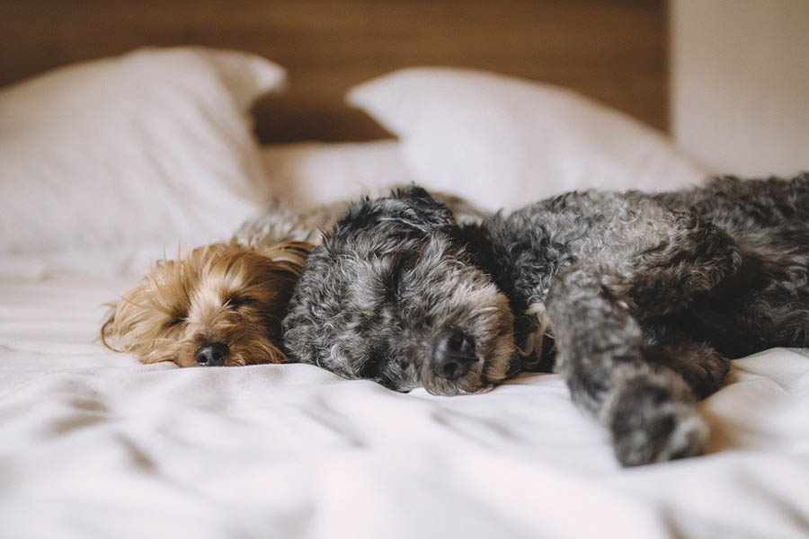 3-sleeping