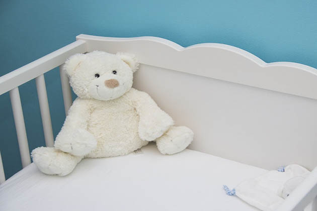 2.1-bear