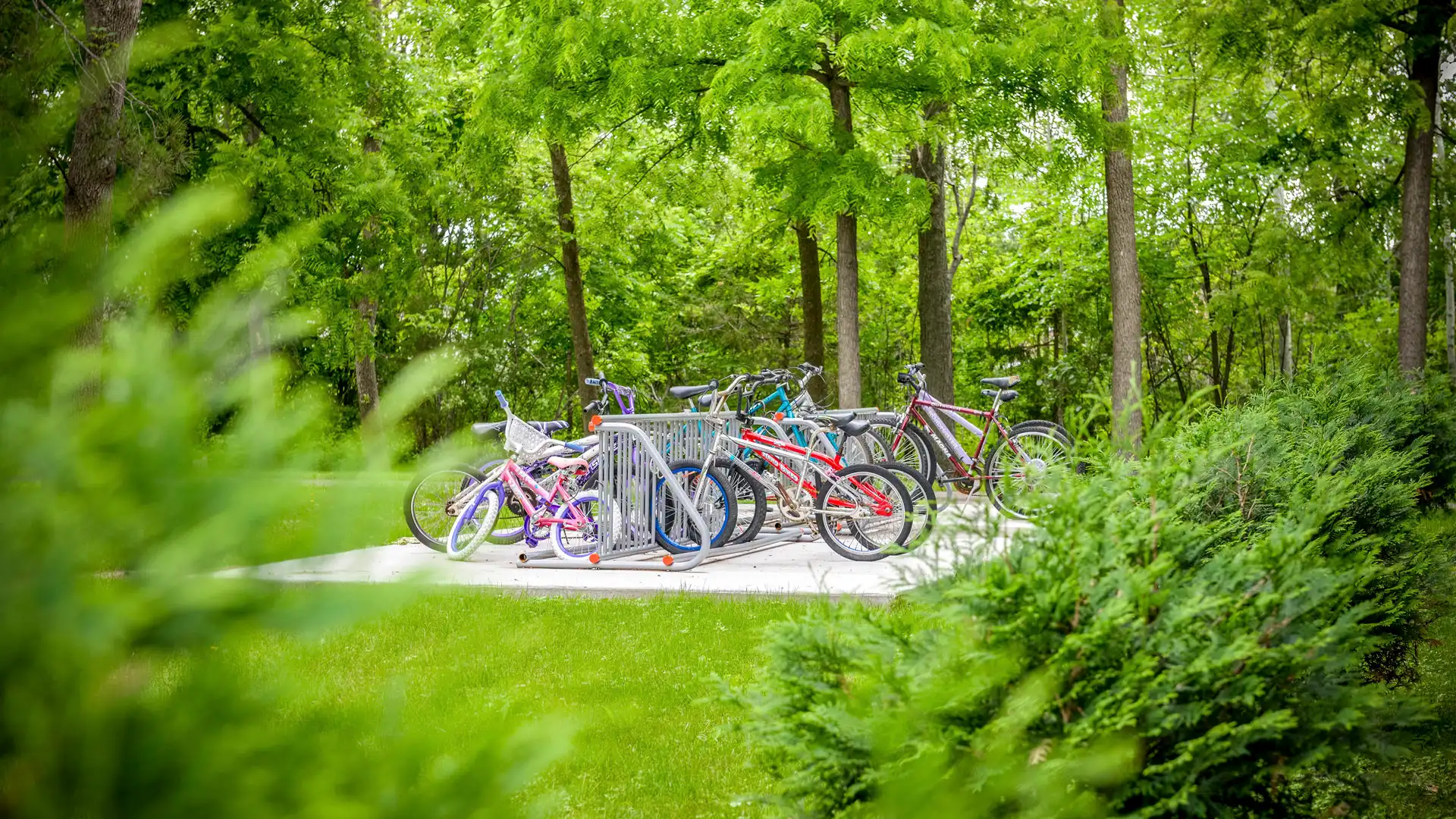 Bike Rack